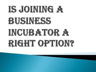 Is Joining a Business Incubator a Right Decision?