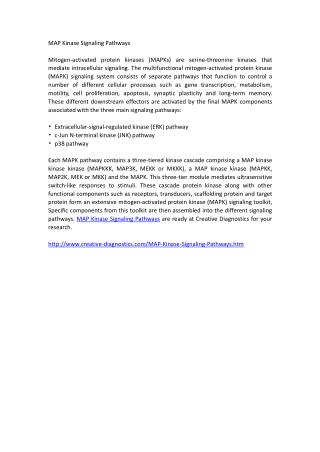 MAP Kinase Signaling Pathways