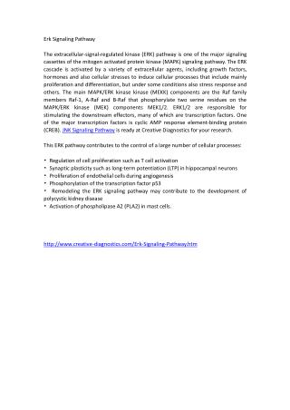 Erk Signaling Pathway