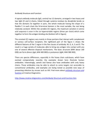 antibody structure and function
