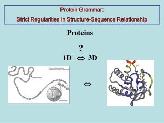 Proteins ? 1D  3D