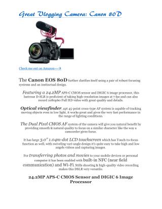 Great Vlogging Camera: Canon 80D