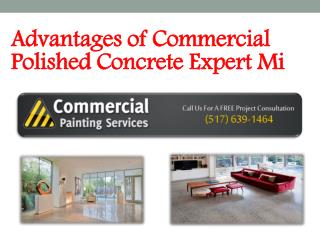 Advantages of Commercial Polished Concrete Expert Mi