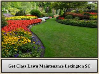 Get Class Lawn Maintenance Lexington SC