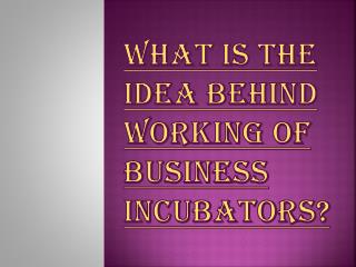 Idea's behind Working of Business Incubators