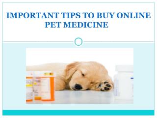 Important Tips to Buy Online Pet Medicine