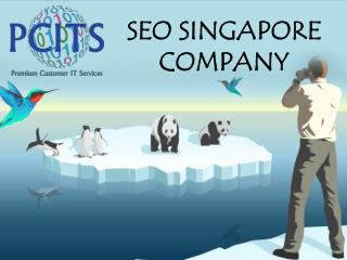 SEO Singapore: Web Development Company