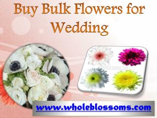 Buy Bulk Flowers for Wedding - www.wholeblossoms.com