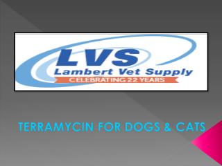 Terramycin for Dogs and Cats