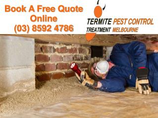 Termite Pest Control Treatment Melbourne