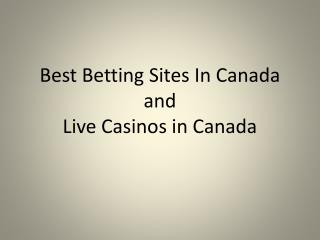 Looking for The Betting Site and Live Casino in Canada