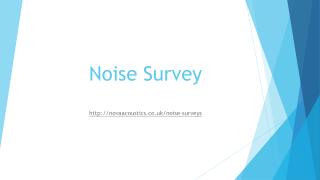 Noise Survey