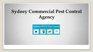 Sydney Commercial Pest Control Agency