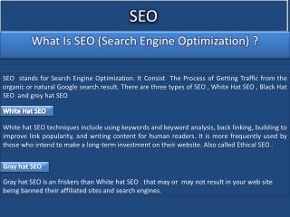 What is the Higher Process of SEO?, PDF