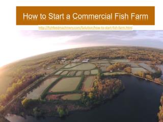 How to Start a Commercial Fish Farm