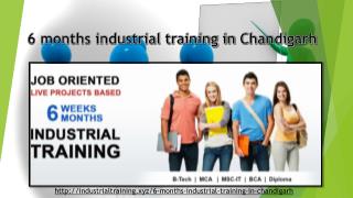 industrial training in chandigarh,mohali