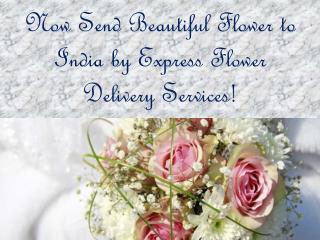 Same Day Flower Delivery Services | Express Flower Delivery | Giftalove