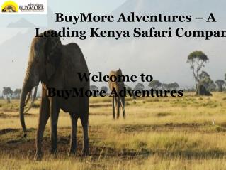 BuyMore Adventures - A Leading Kenya Safari Company