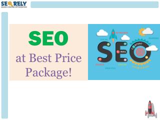 Search Engine Optimization (SEO) Best Price - Seorely