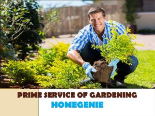 Gardening and landscaping maintenance, services in Dubai, UAE
