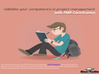 PMP Elearning Certification Course - Blueiurtle