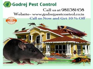 For Best Termite Treatment Faridabad Call -9811381458
