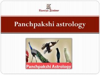 Panchpakshi astrology services