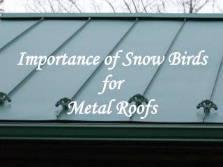 Importance of Snow Birds for Metal Roofs - Alpha Rain Inc.
