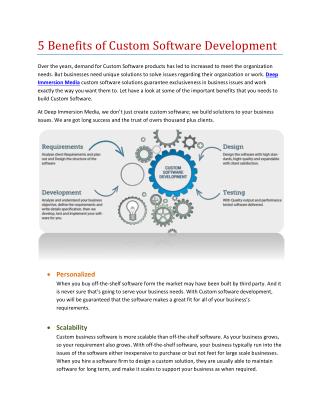 Benefits of Custom Doftware Development | Deep Immersion Media