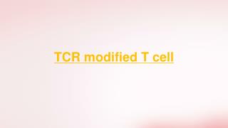 TCR modified T cell