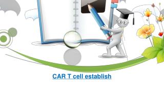 CAR T cell establish