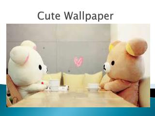 Cute Wallpapers