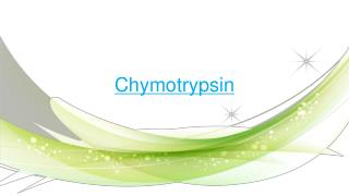 Chymotrypsin