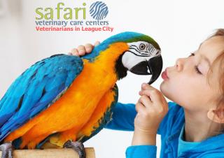 Safari Veterinary Care Center