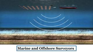 Marine and Offshore Surveyors