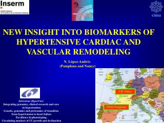 NEW INSIGHT INTO BIOMARKERS OF HYPERTENSIVE CARDIAC AND VASCULAR REMODELING