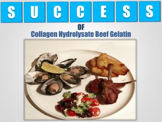 Collagen Hydrolysate Beef Gelatin Protein