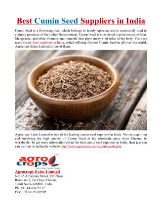 Best Cumin Seed Suppliers in India