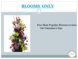 Five Most Popular Flowers to Give On Valentine’s Day