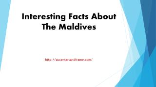 Interesting Facts About The Maldives