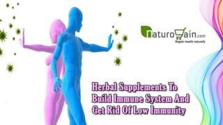 Herbal Supplements To Build Immune System And Get Rid Of Low Immunity