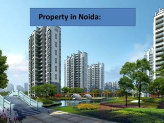 Property in Noida