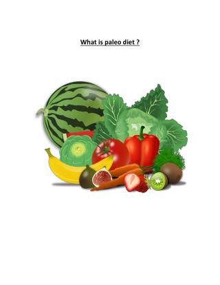 paleolithic diet meal plan