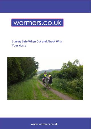 Staying Safe when Out and About with your Horse