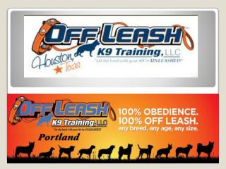Dog Trainer Portland Oregon | Dog Training Portland OR | Dog Trainer Portland | Off Leash K13