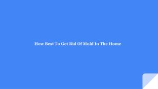 How Best To Get Rid Of Mold In The Home