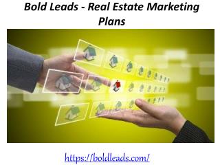 Bold Leads - Real Estate Marketing Plans