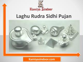 Laghu Rudra Sidhi Pujan & Laghu Rudra Puja Vidhi at Maha Shivaratri