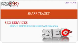 Online SharpTarget Consulting Services