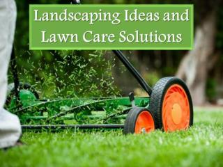 Landscaping Ideas and Lawn Care Solutions